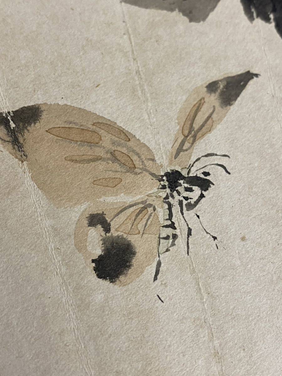 真作　肉筆 蕉雨　扇面　富貴國秀　花蝶画　古美術 絵　書　額縁　額装　インテリア | - 人物画
