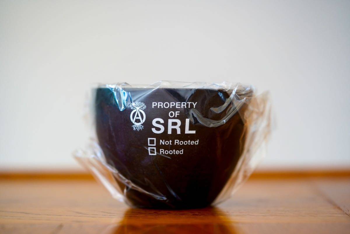 園芸用品 SRL.ROUNDTYPE PLANT POT-M カタチ製作所2