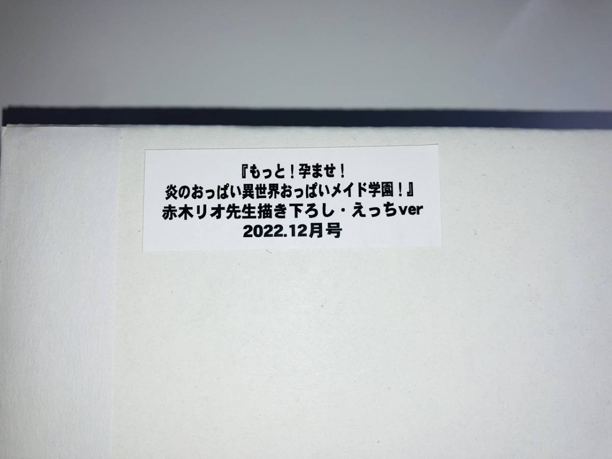 正規品】 赤木リオ みるくふぁくとりー もっと！孕ませ！炎のおっぱい 