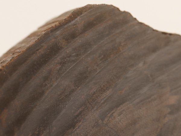 激安大特価，大得価 【流】香道具 香木 沈香 伽羅香 重量50g 共
