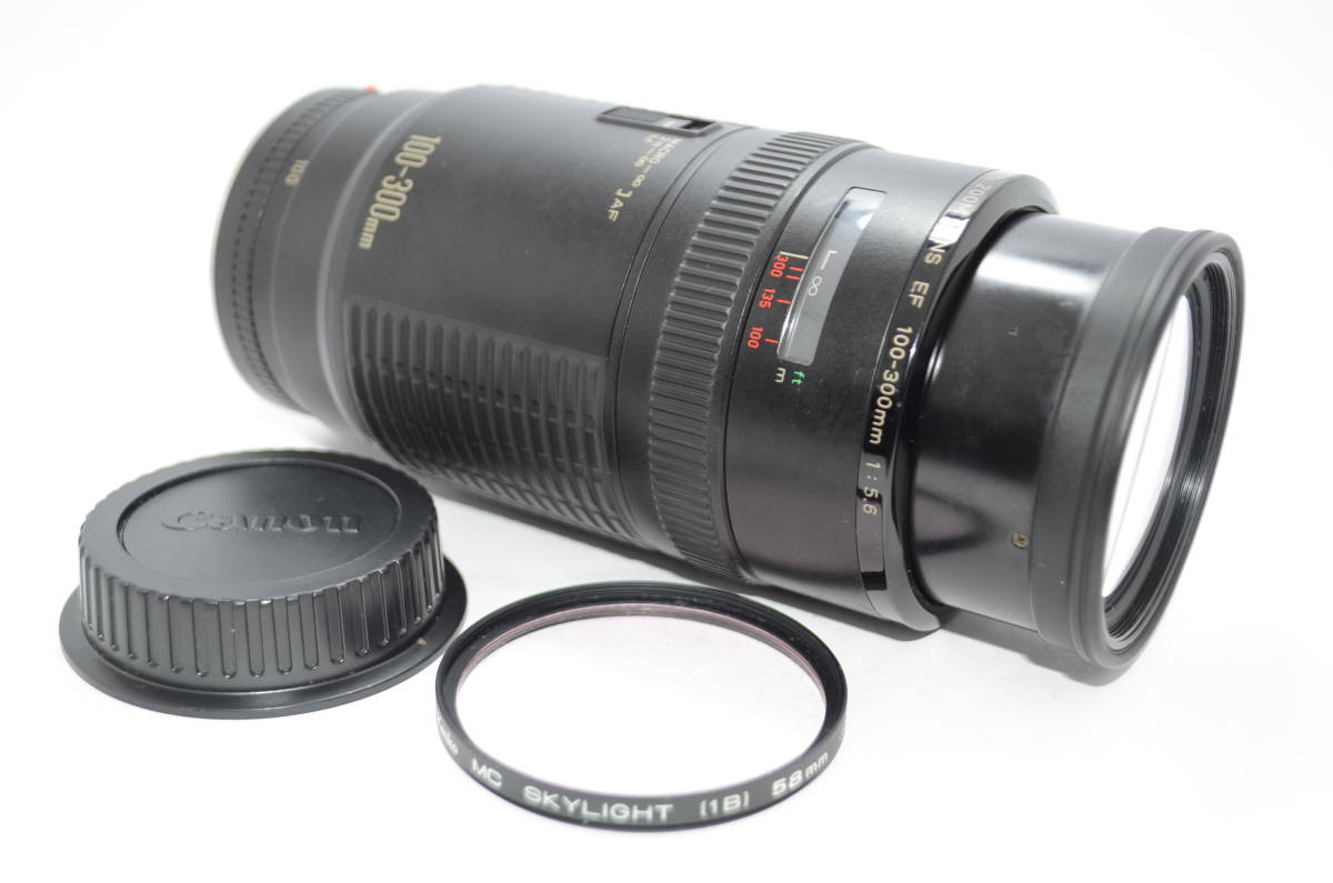 キヤノン キヤノン Canon EF 100-300mm F5.6 L AA3769#11 CANON ZOOM
