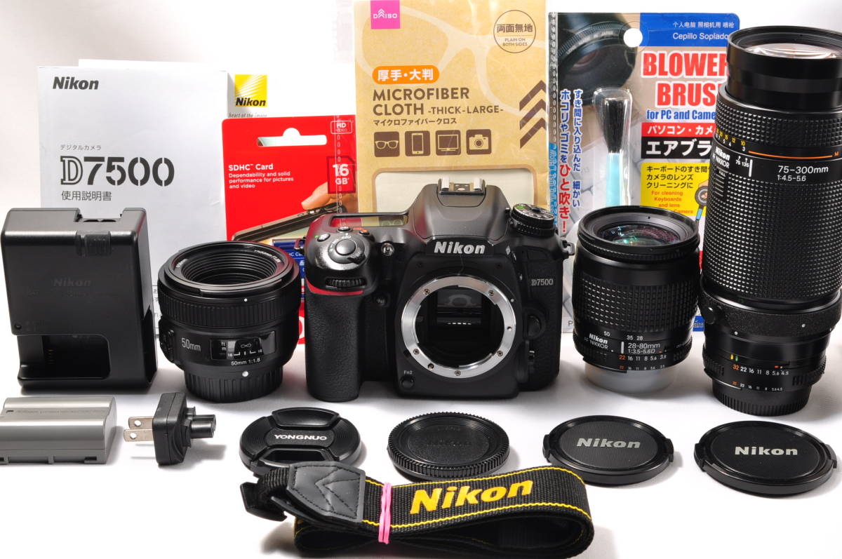 ニコン D300+ AF-Sニッコール18-55mm VRレンズのセット 現状品使用可能