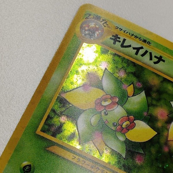 ポケモンカード キレイハナ 旧裏 旧裏面 キラ｜Yahoo ポケカ neo