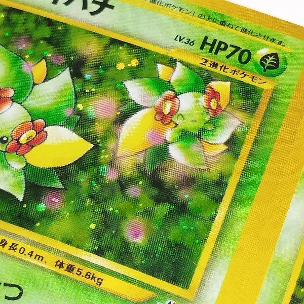 ポケモンカード キレイハナ 旧裏 旧裏面 キラ｜Yahoo ポケカ neo