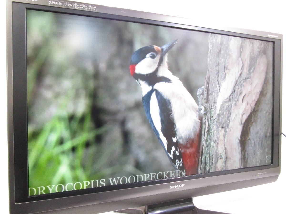 ◎SHARP シャープ AQUOS 40型 液晶テレビ 世界の亀山モデル LC-40AE7
