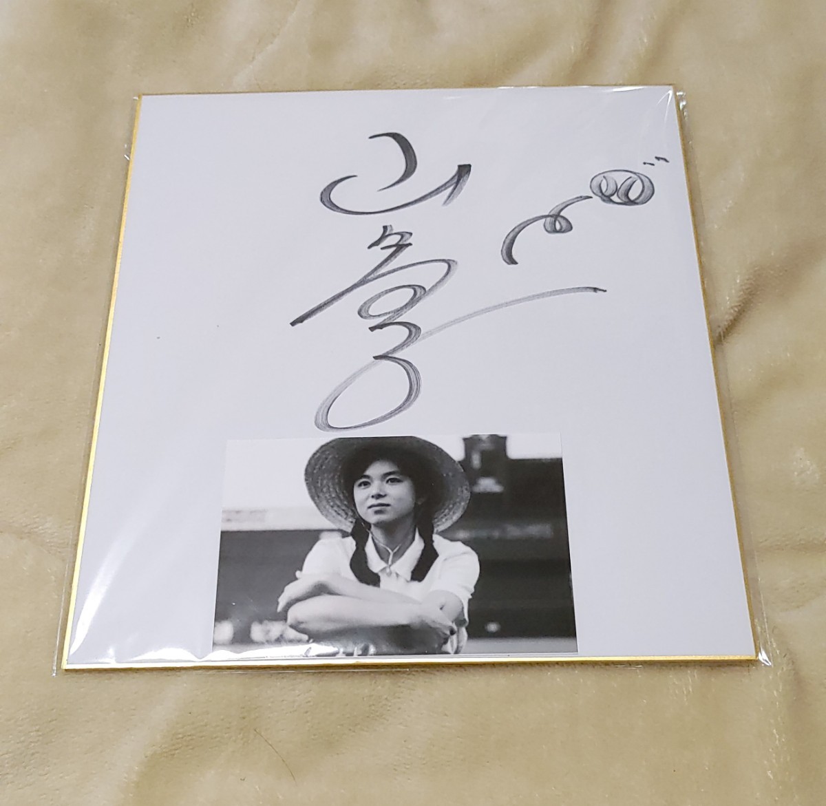 山口智子 「純ちゃんの応援歌」 直筆サイン入色紙