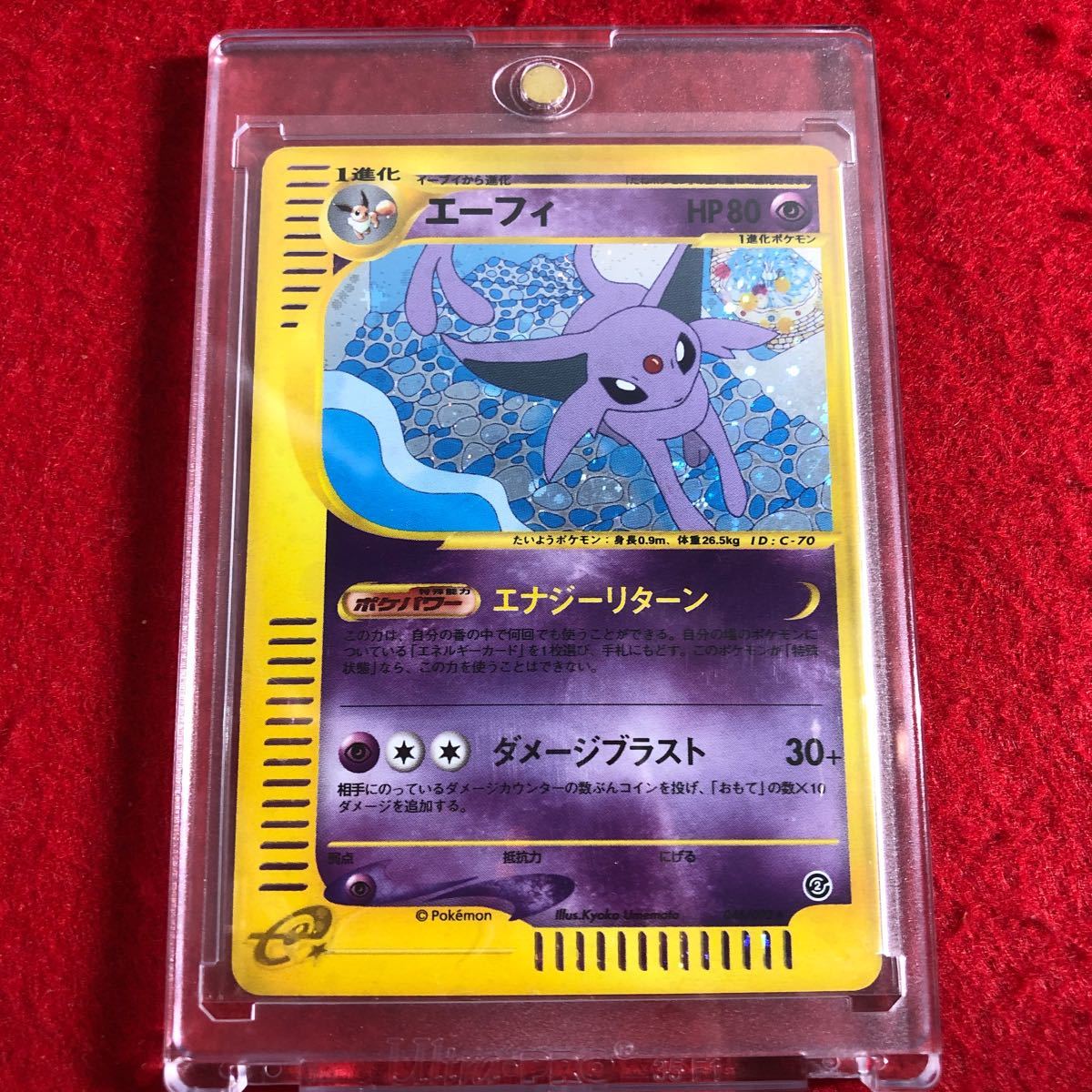 プレミアムファイル メガニウム バクフーン 旧裏 ポケモンカード Neo 