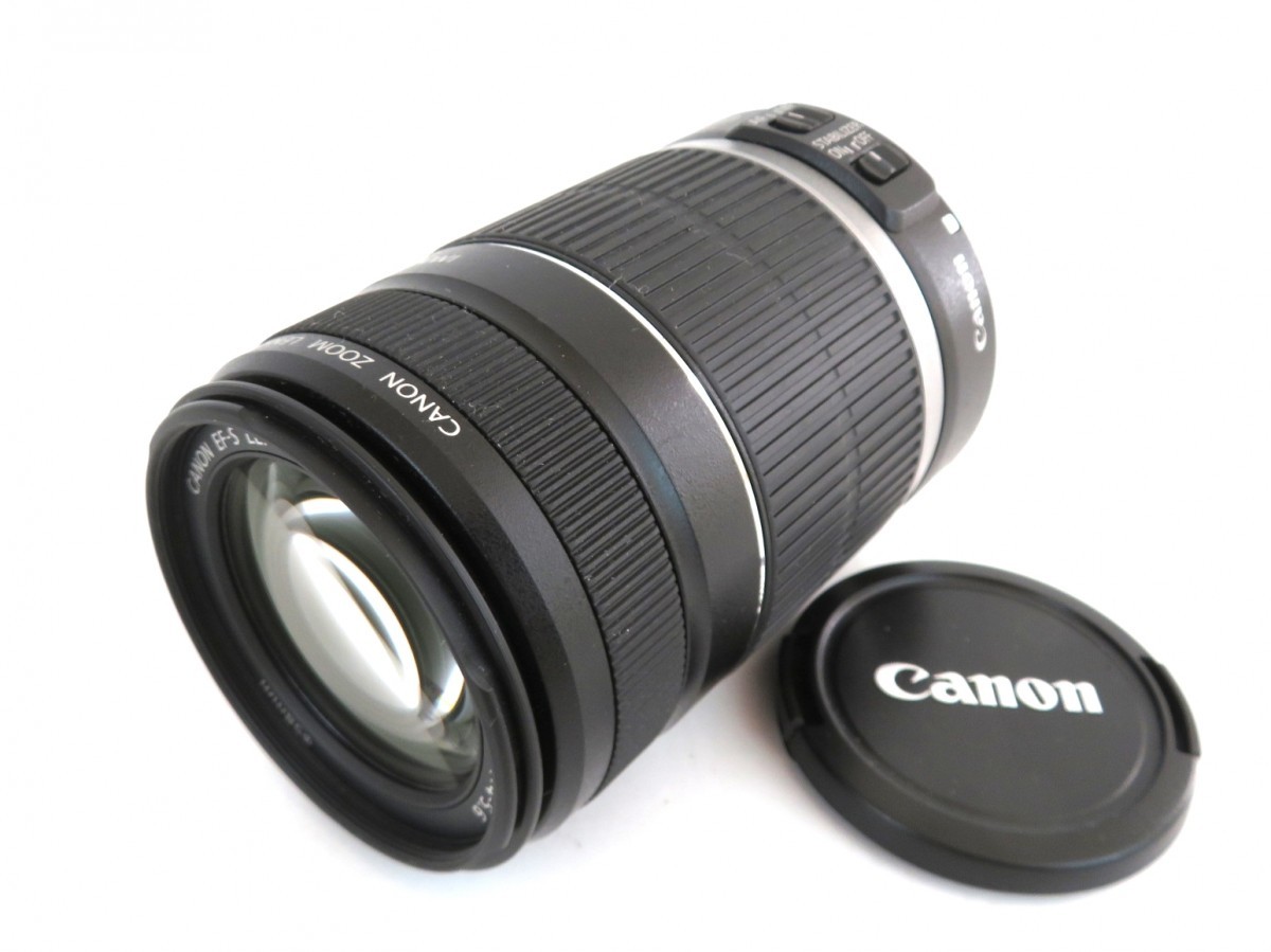 レンズ(ズーム) Canon EF-S 55-250mm f/4-5.6 IS II シグマ SIGMA DG 150-500mm 1:5-6.3 APO HSM 超望遠ズームレンズ