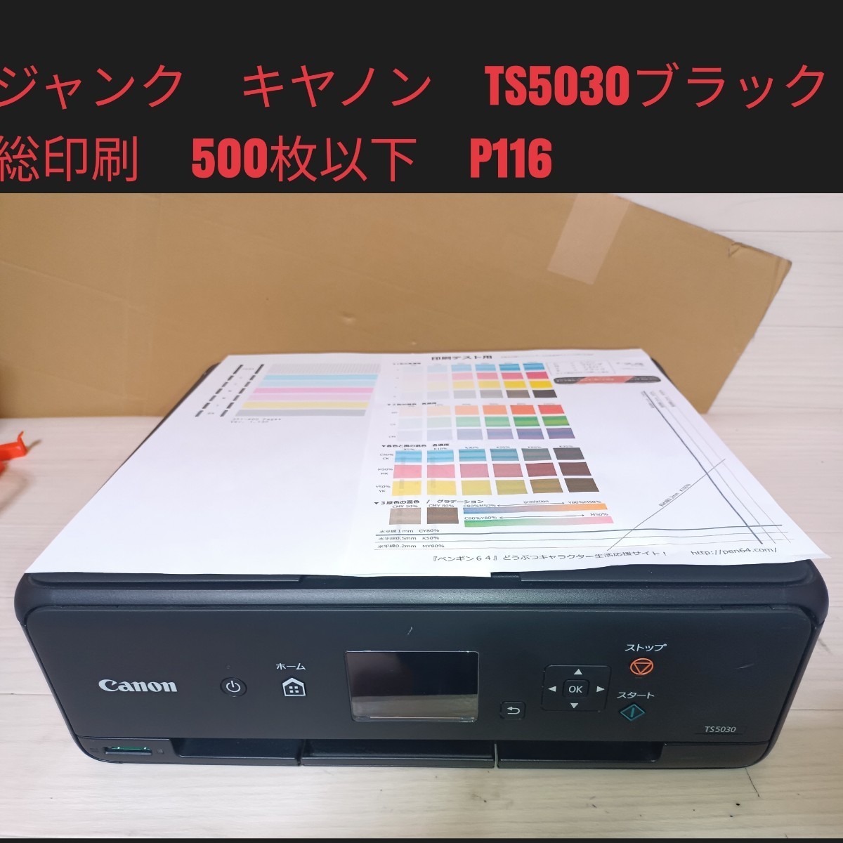 海外で買 完動品 印刷枚数450枚以下 TS5030 キャノン ピクサス
