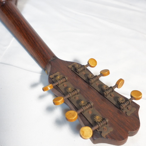 カターニア ヴィンテージ マンドリン ハードケース付き バタフライ