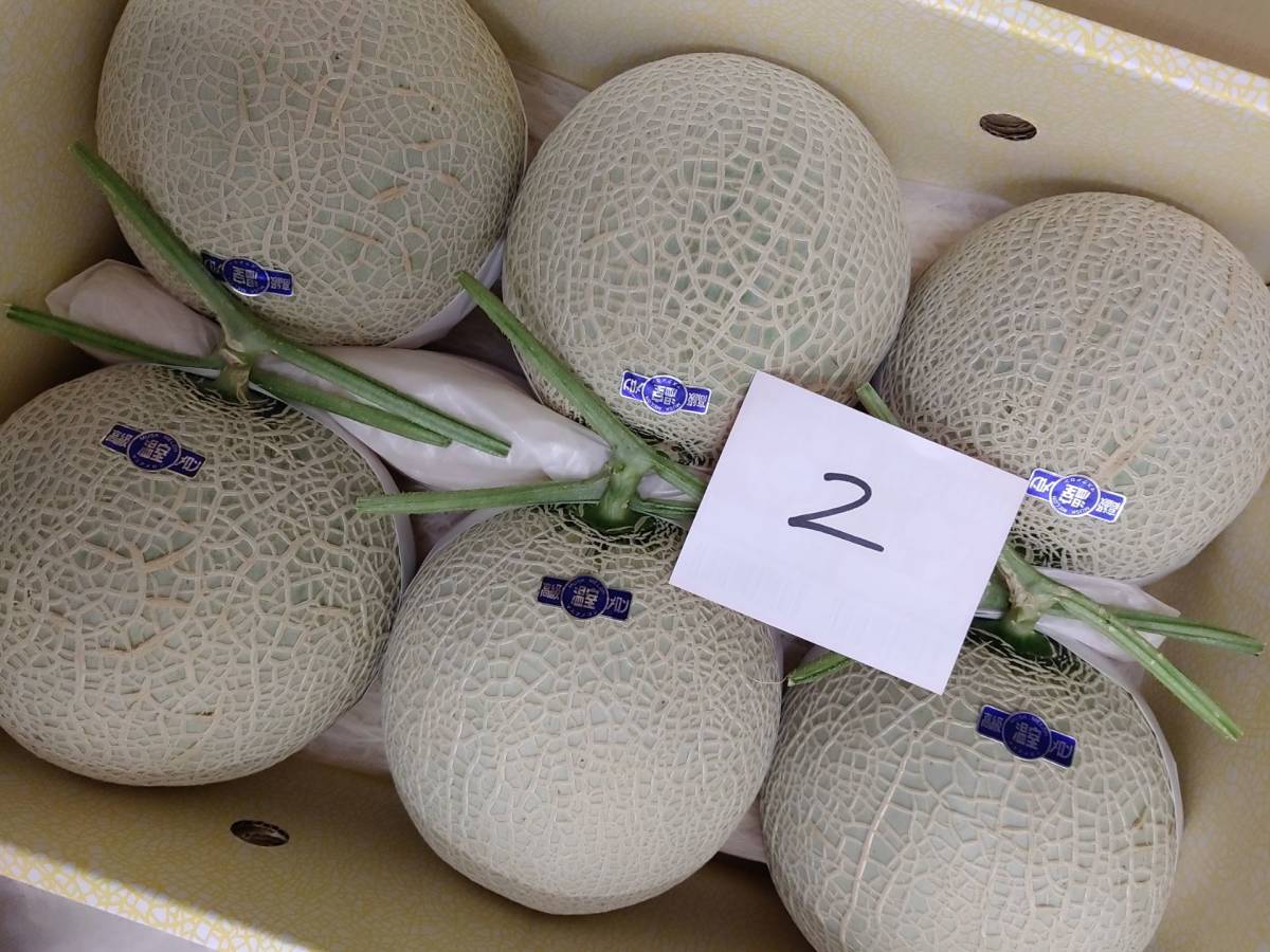 ♪送料無料 2温室マスクメロン高知産6玉入り 約10kg
