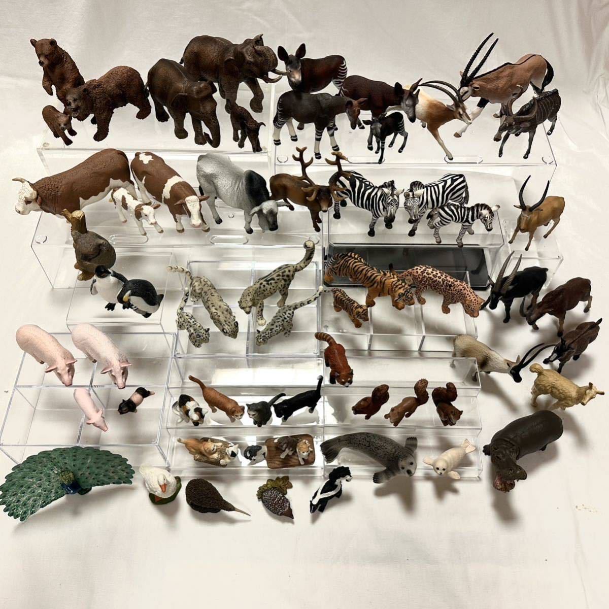 多くが廃盤】シュライヒ 動物フィギュア 12体セット まとめ売り