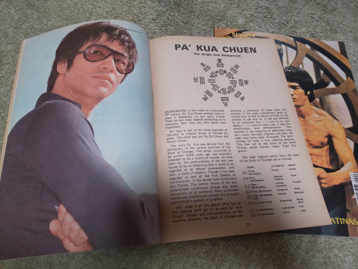 ブルース・リー 雑誌 BUSHIDO 3冊 Yahoo!オークション - ANECDOTES AND