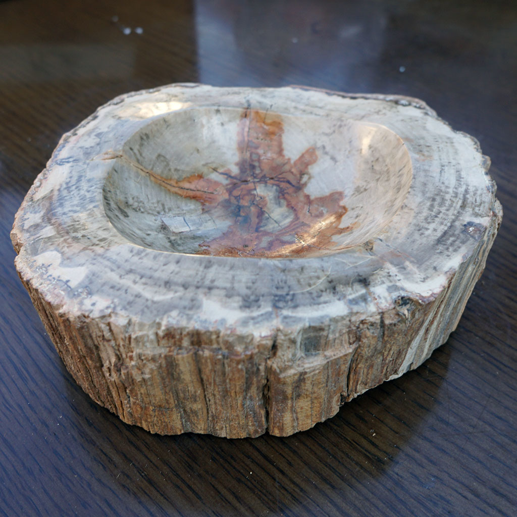 【送料込み】 化石の灰皿[その2] 小物入れ 石皿 珪化木？_1