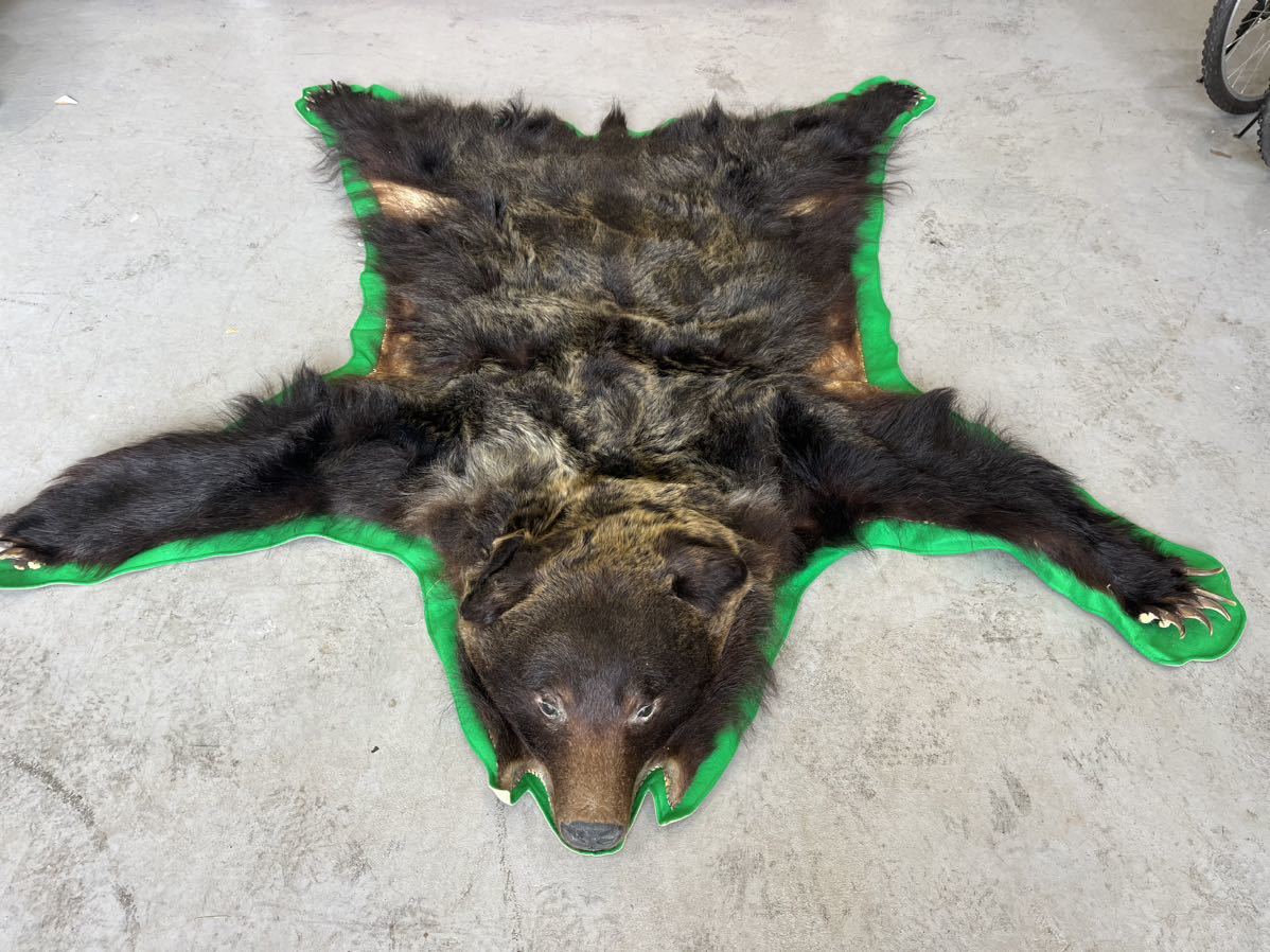 熊 剥製 毛皮 敷物 ラグマット マット 頭付き 爪付き 現状品 爪20本