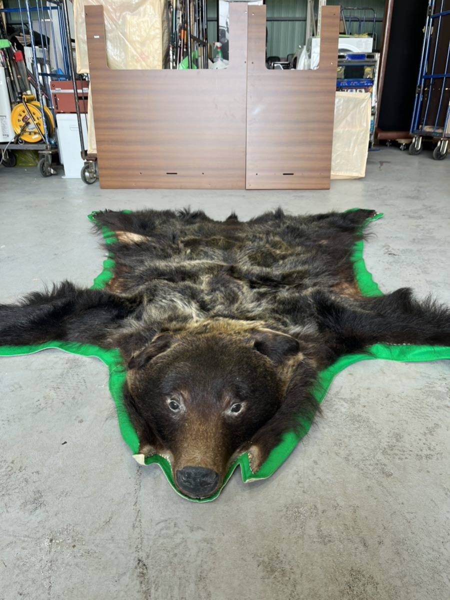 熊 剥製 毛皮 敷物 ラグマット マット 頭付き 爪付き 現状品 爪20本
