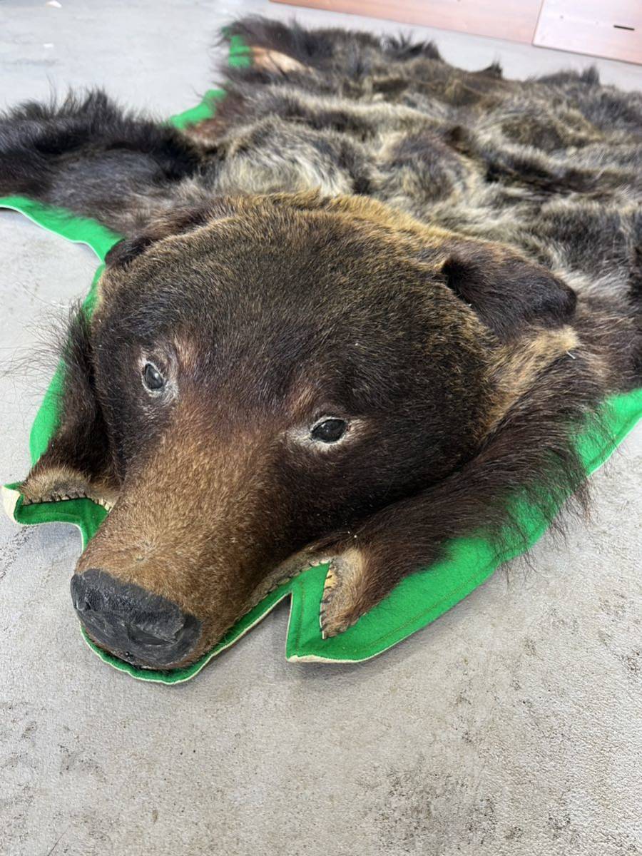 熊 剥製 毛皮 敷物 ラグマット マット 頭付き 爪付き 現状品 爪20本