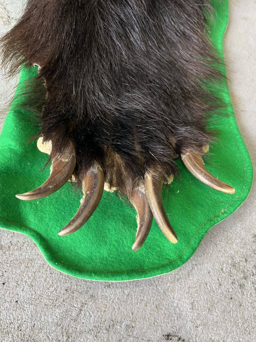 熊 剥製 毛皮 敷物 ラグマット マット 頭付き 爪付き 現状品 爪20本