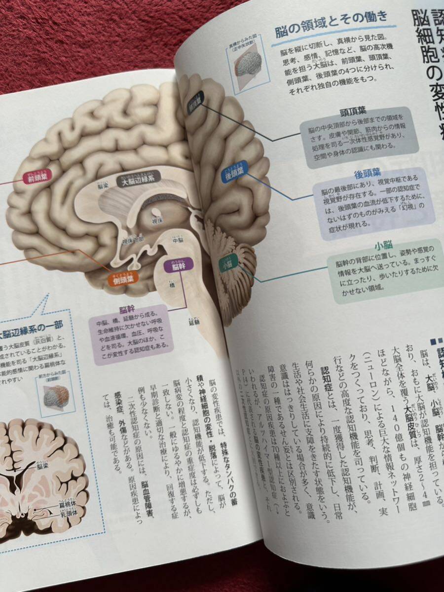 本ぜんぶわかる認知症の事典☆成美堂出版☆4大認知症をわかりやすくビジュアル解説_4