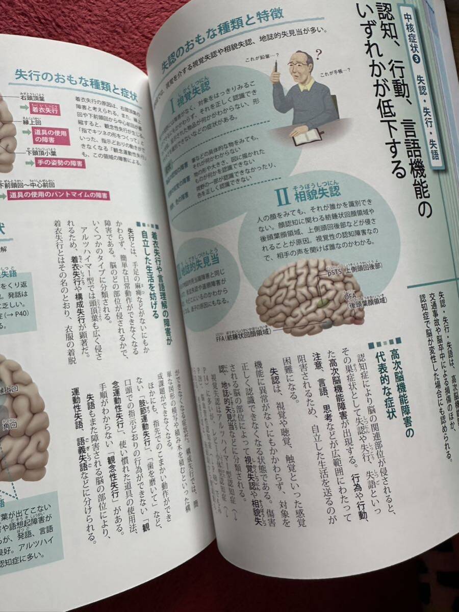 本ぜんぶわかる認知症の事典☆成美堂出版☆4大認知症をわかりやすくビジュアル解説_6