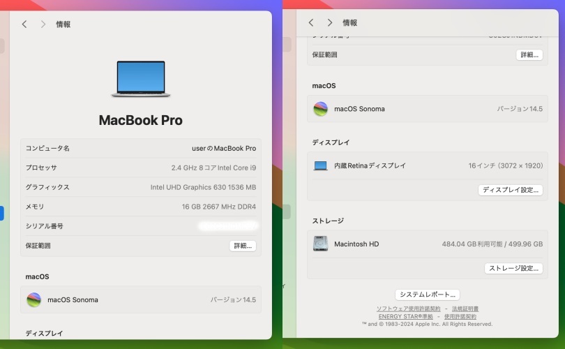 ★美品　1円スタート　Apple アップル MacBook Pro（2019）16インチ　第9世代Core i9　2.4GHz8コア （OP変更）/16GB /512GB　充放電75回_8