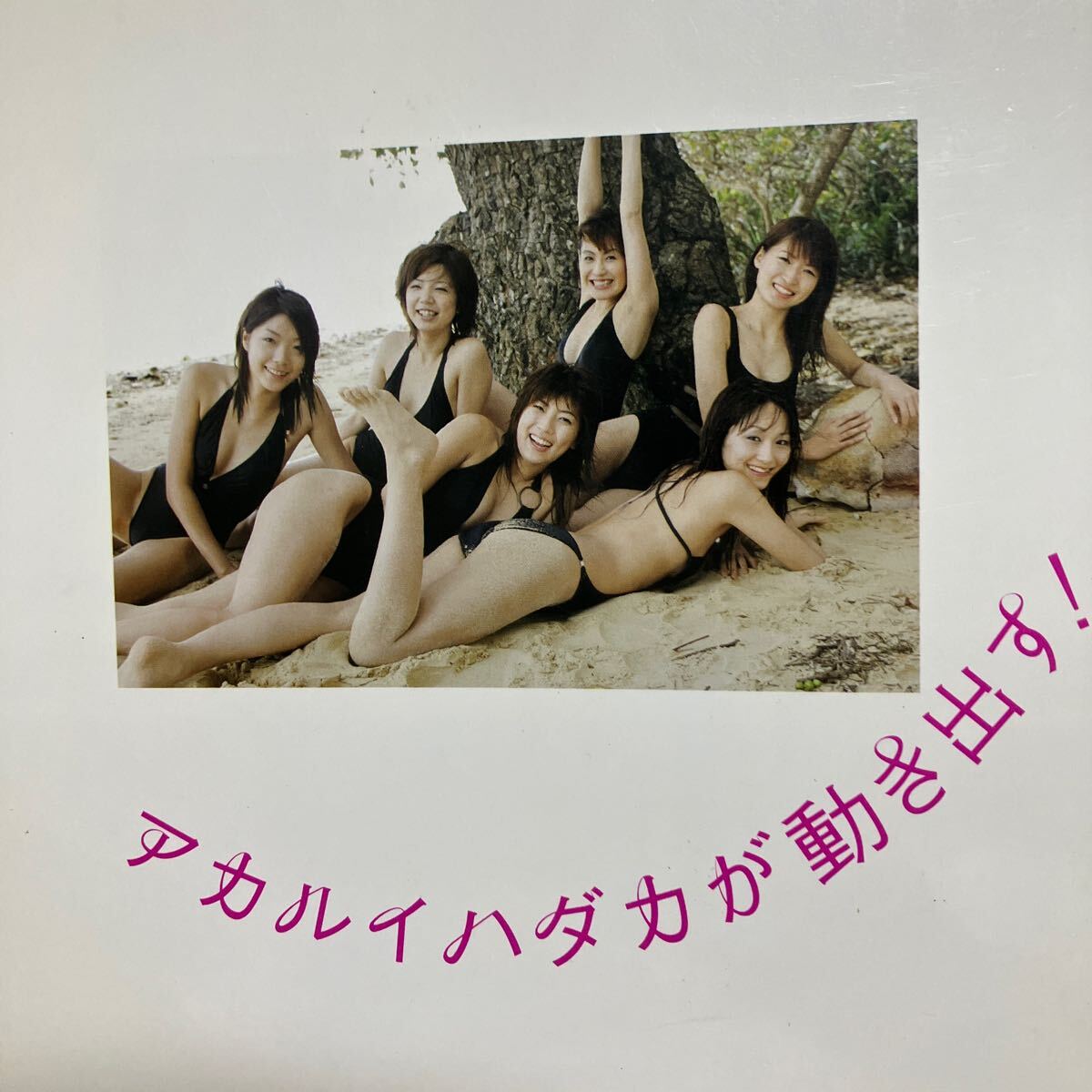 ☆本写真集 《アカルイハダカ シノヤマキシン 》2004年初版 ヘアヌード 