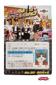なめんなよ カードの値段と価格推移は？｜17件の売買データからなめん