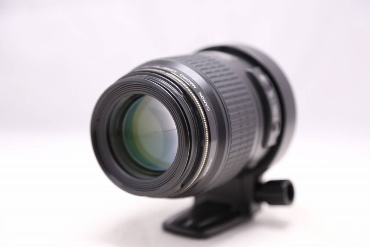 EF 100mm Canon Macro Rockwell Ken by Review IS USM f⁄2.8L at Roberts