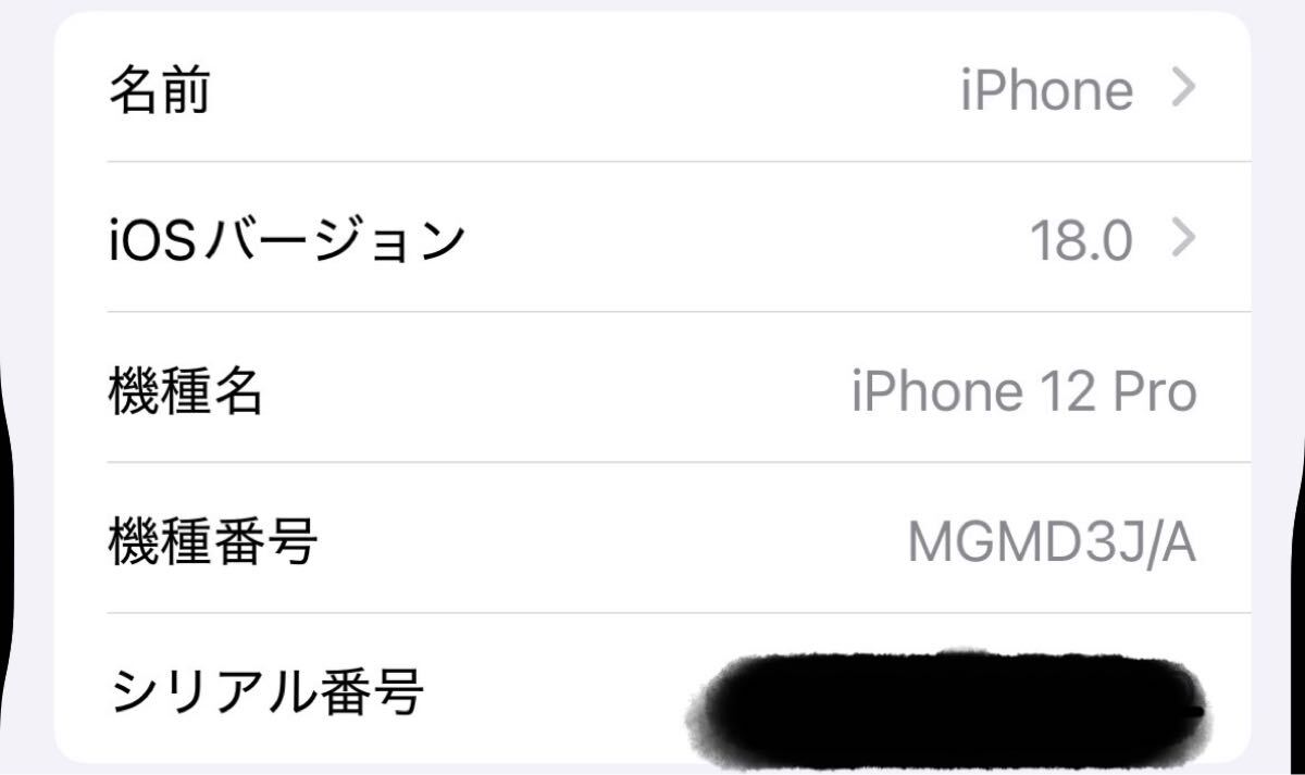 iPhone12 Pro パシフィックブルー SIMフリー_10