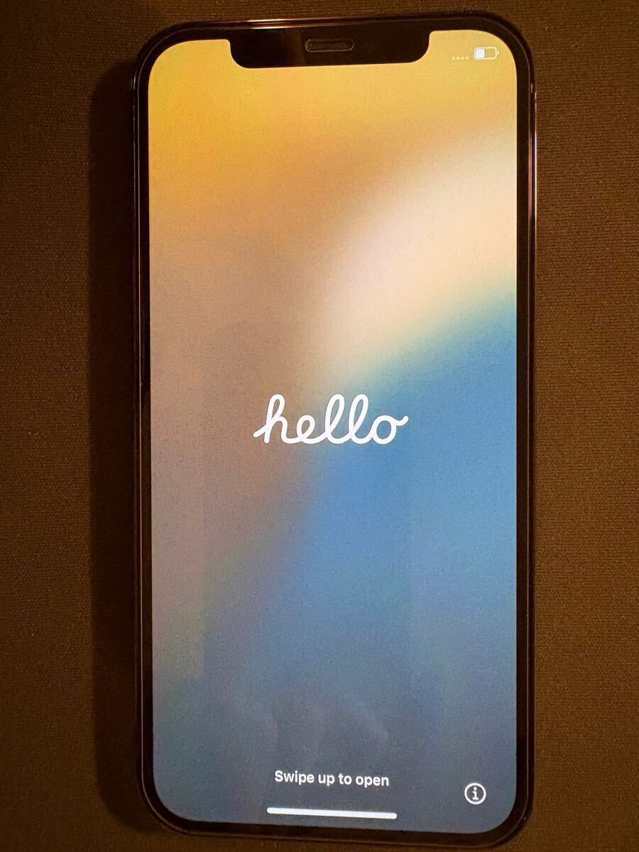 iPhone12 Pro パシフィックブルー SIMフリー_2