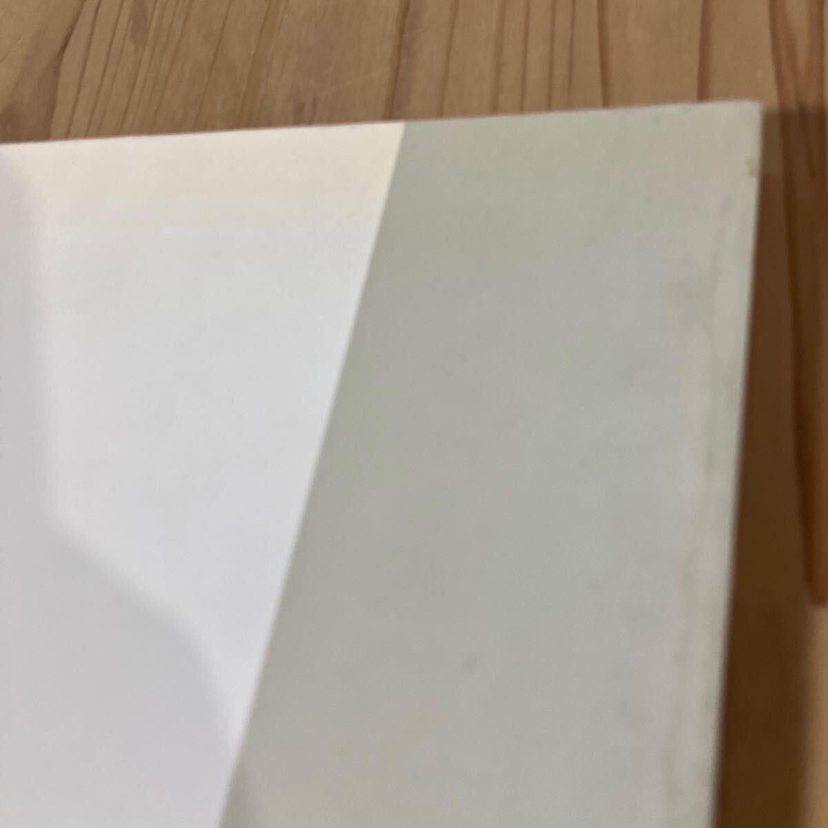 タヲ☆1016[高山辰雄展] 図録 1989年_3