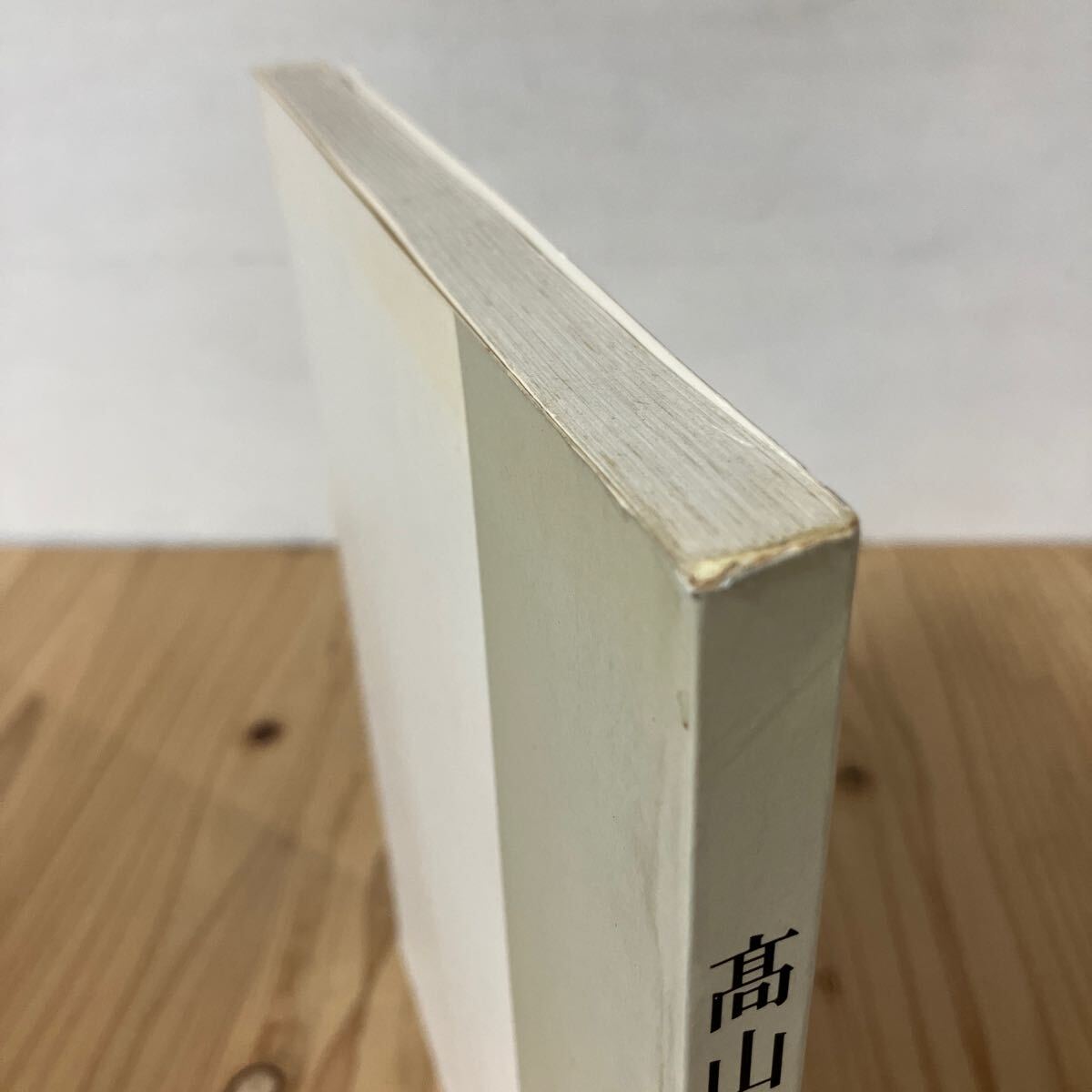 タヲ☆1016[高山辰雄展] 図録 1989年_4