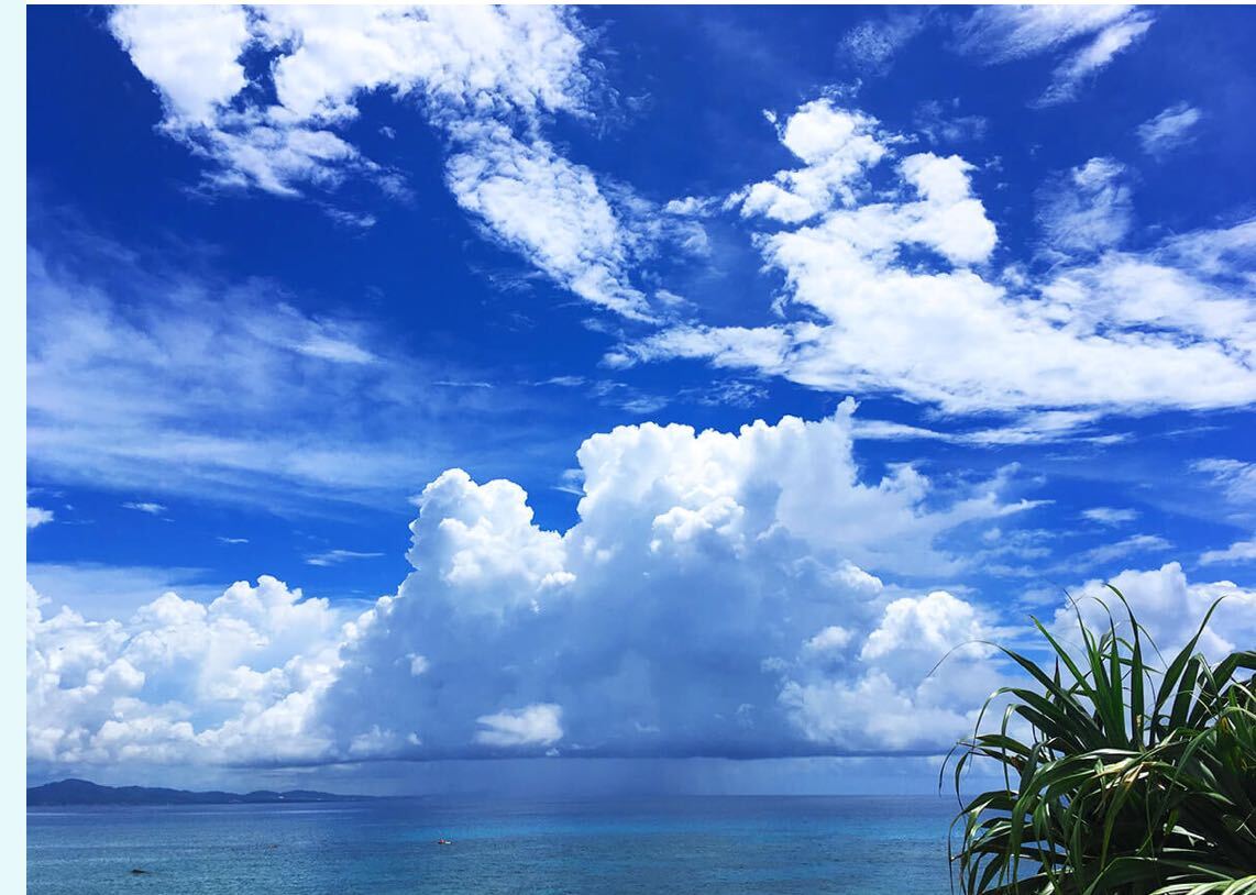 画像データ 即決　1円　海 38_1