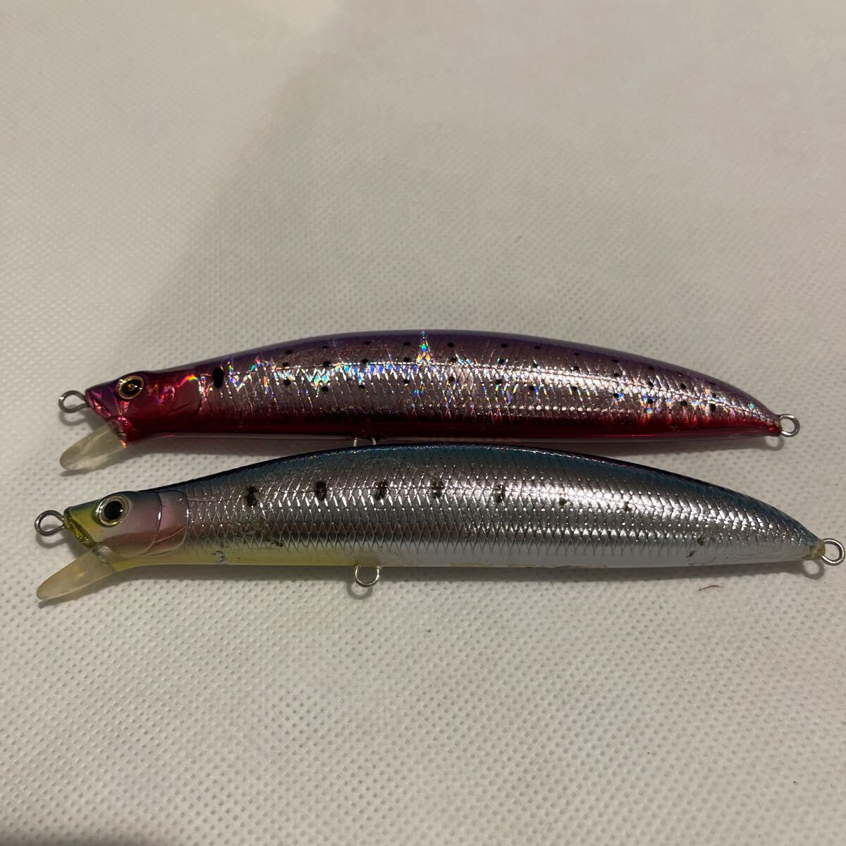 ザウルス シートプス135イワシカラー 【公式通販】