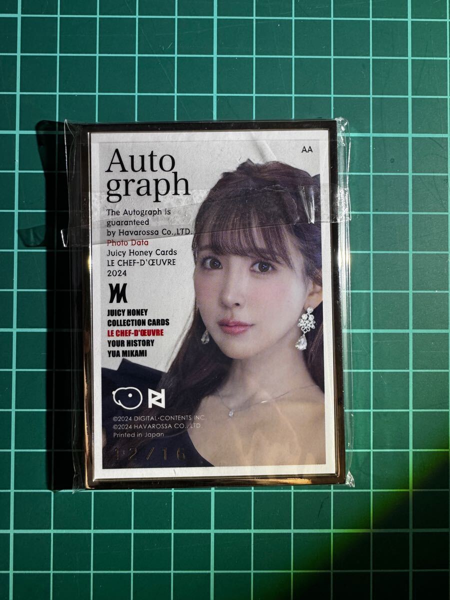 ゆう様 ジューシーハニー「le Chef-d'uvre」-Your History- Yua Mikami 三上悠