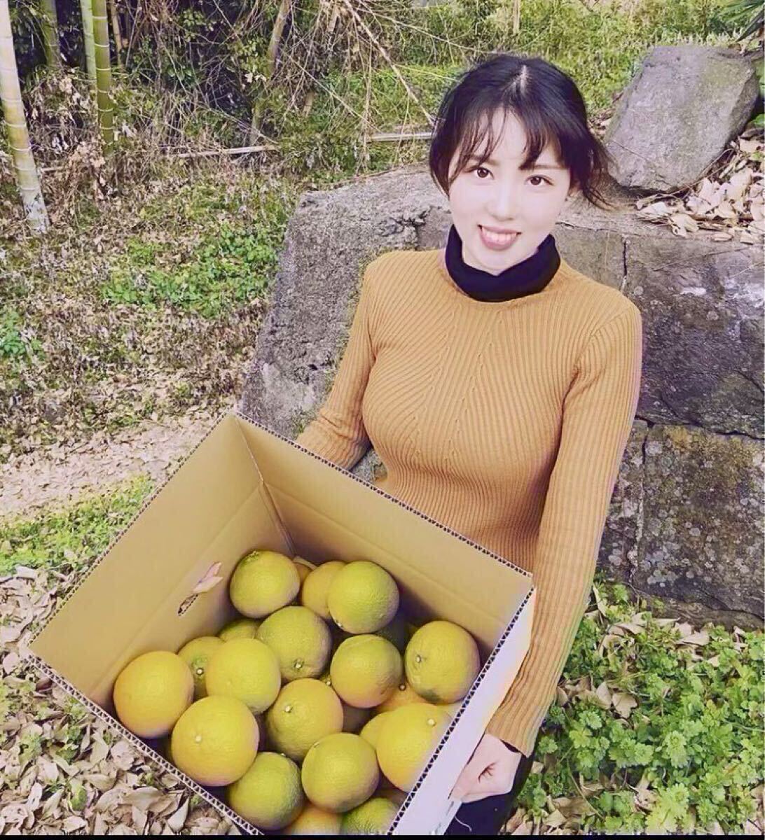 味に当たりハズレなし！見た目を裏切る美味しさ【熊本産スイートスプリング】3Lサイズ約5kご家庭用　熊本フルーツ堂55_5