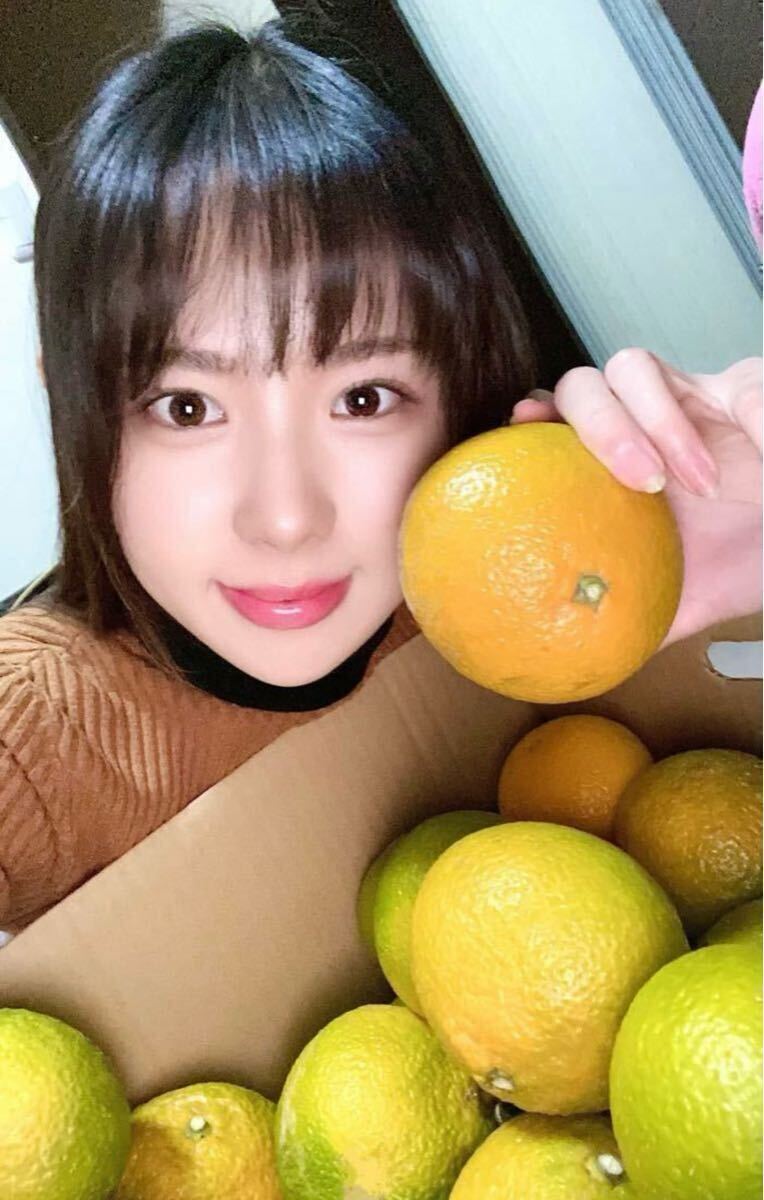 味に当たりハズレなし！見た目を裏切る美味しさ【熊本産スイートスプリング】3Lサイズ約5kご家庭用　熊本フルーツ堂55_9