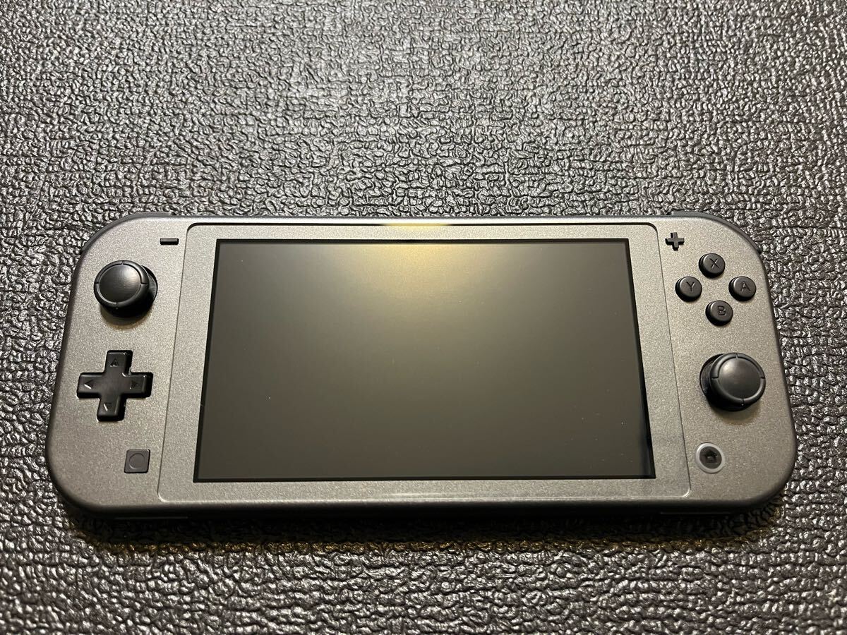 Nintendo Switch Lite 任天堂スイッチライト Nintendo Switch Lite