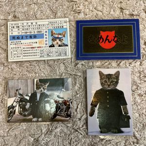 なめ猫 カードの値段と価格推移は？｜29件の売買データからなめ猫