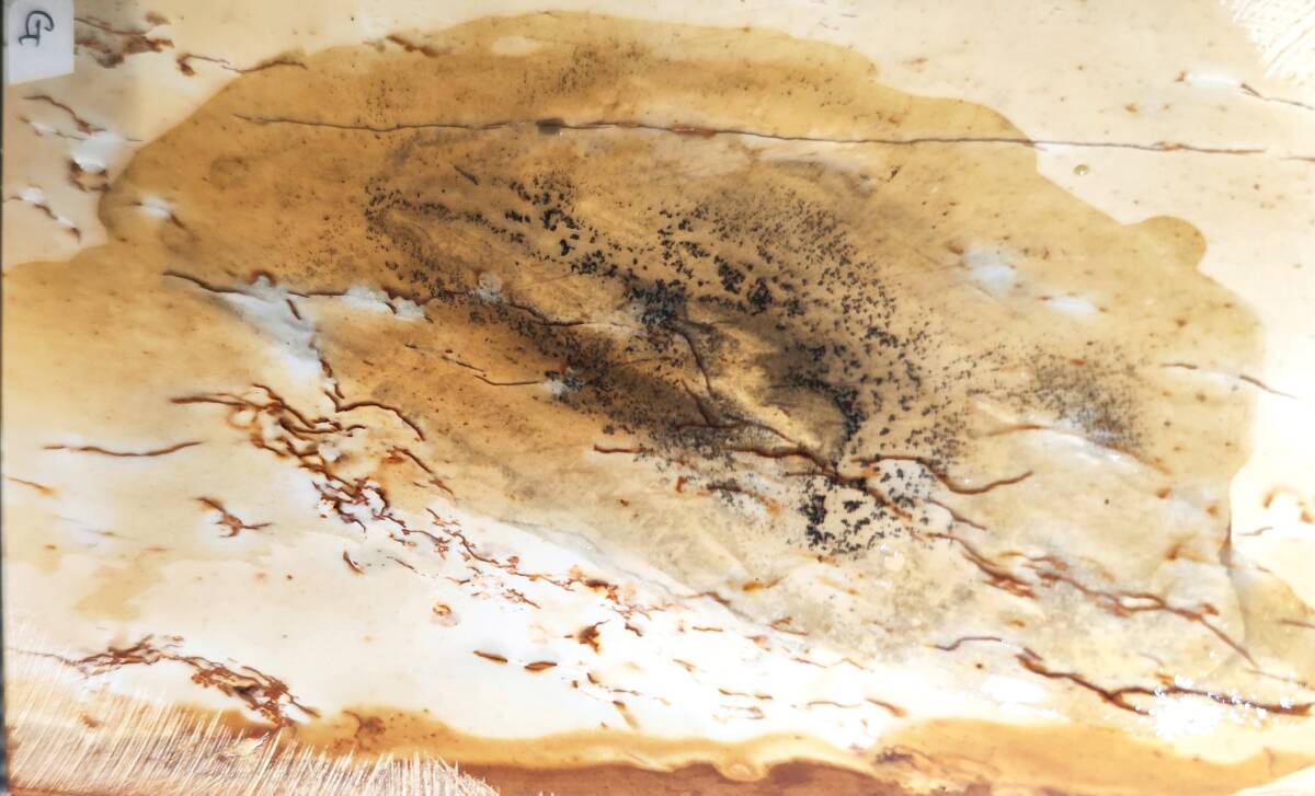 天然砥石　奥殿合砥　極上品　仕上げ砥石_2