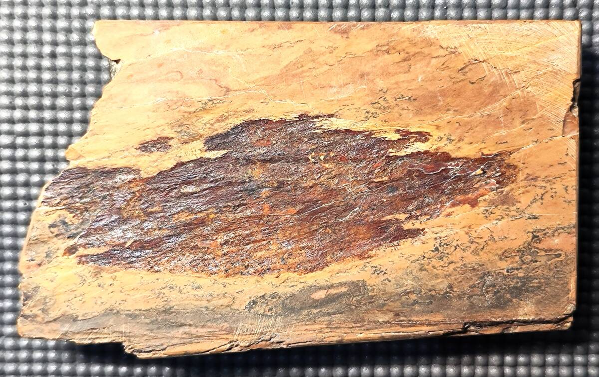 天然砥石　奥殿合砥　極上品　仕上げ砥石_4