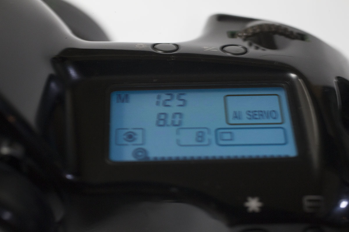Canon EOS-1N DP 動作確認済み　BP-E1付き_10