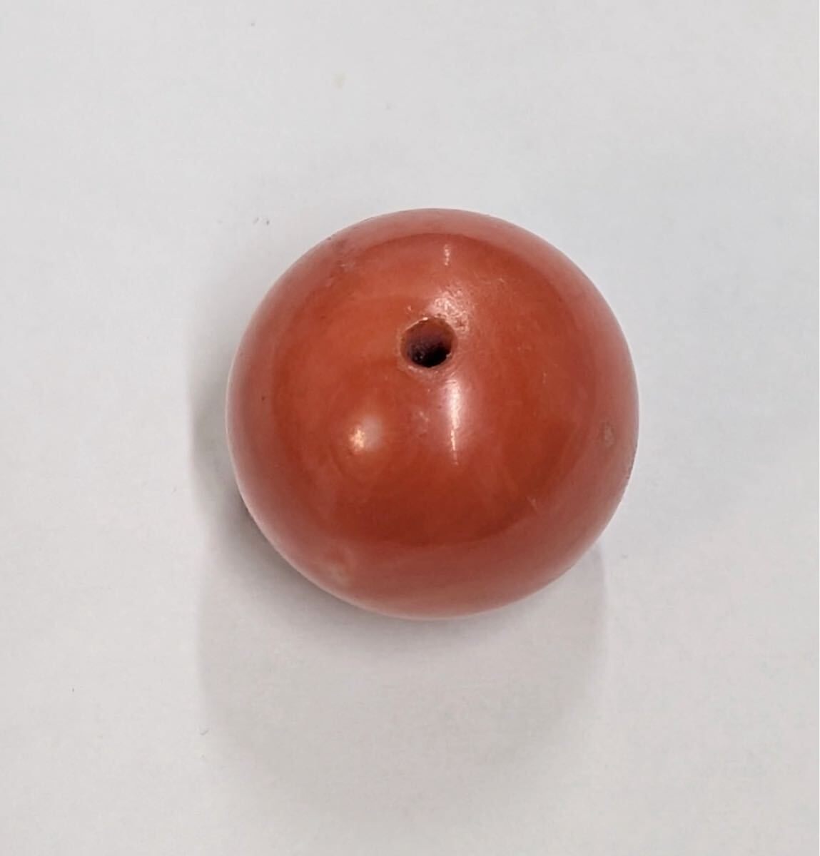 本珊瑚 丸珠 大玉 両穴 ルース サンゴ コーラル_2