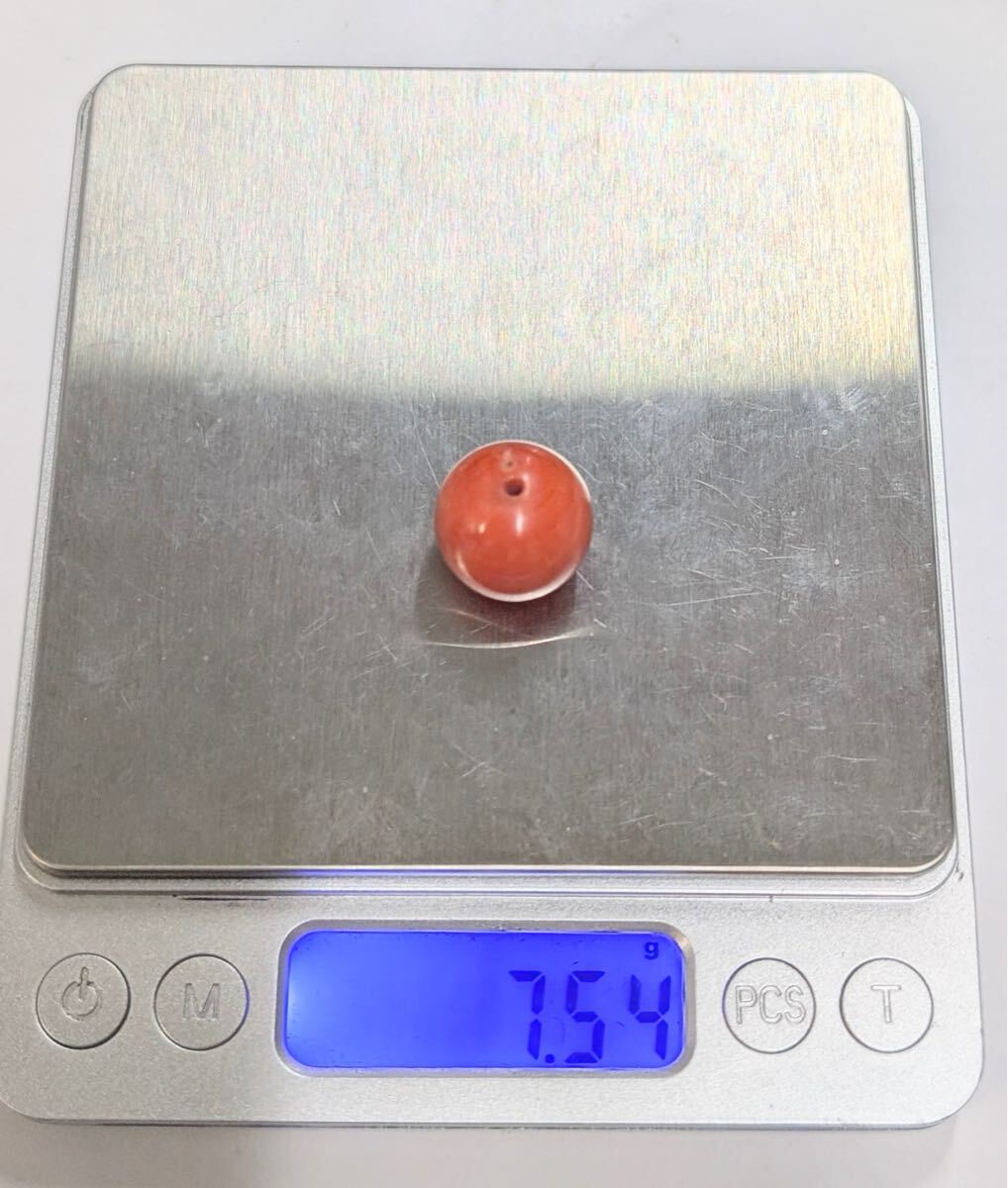 本珊瑚 丸珠 大玉 両穴 ルース サンゴ コーラル_6