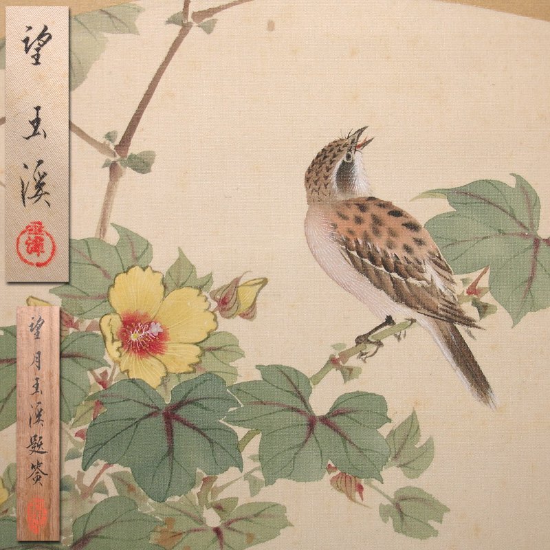 慶應◇京都の近代画家【望月玉渓】真筆 絹本着色「綿花小鳥図」扇面形