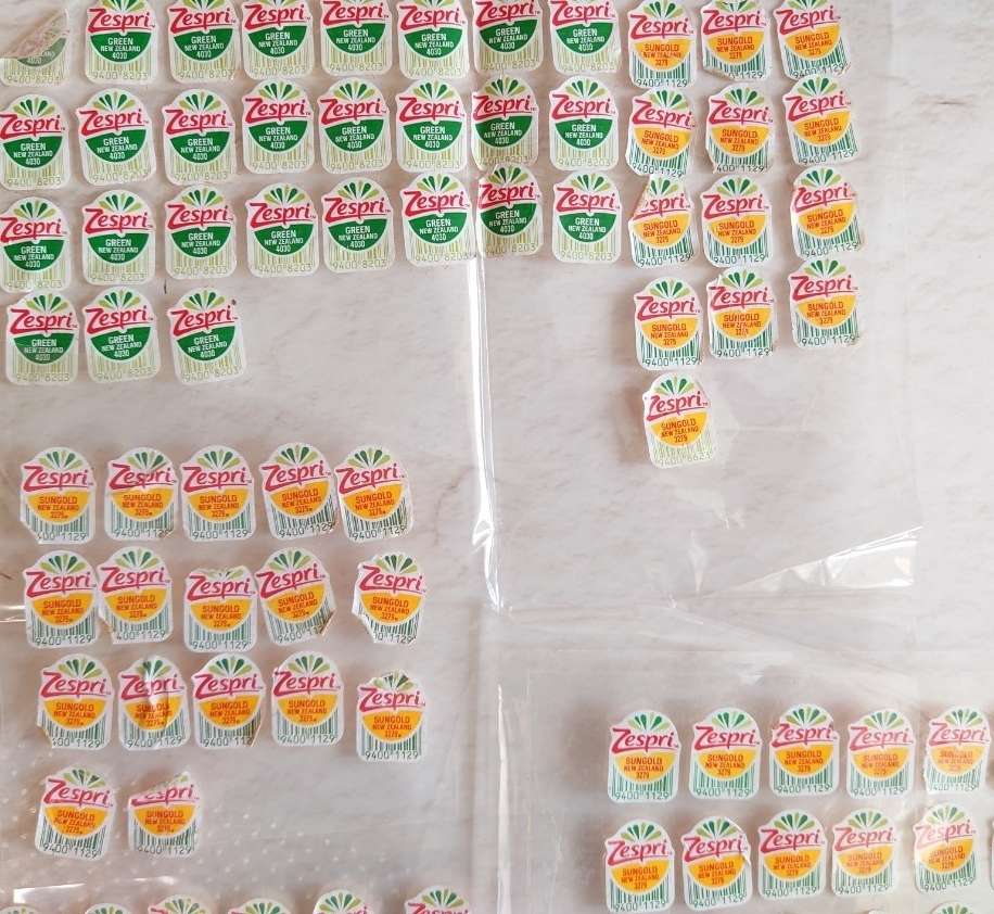 ゼスプリ　キウイ ブラザーズ 応募券　 シール　158枚　_2