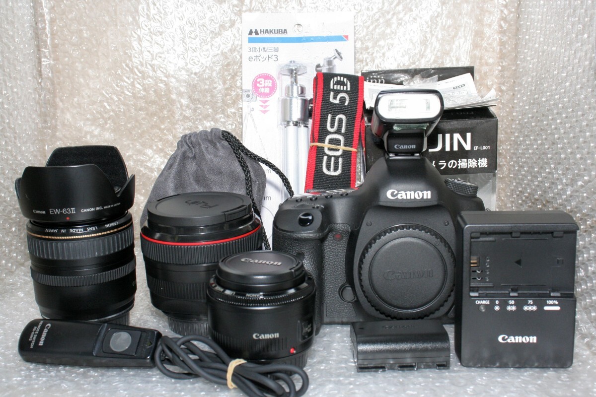 【豪華フルセット】Canon EOS 5D Mark III＋単焦点＆ズームレンズ＋純正アクセ＋スピードライト＋Fujin掃除機付き！_1