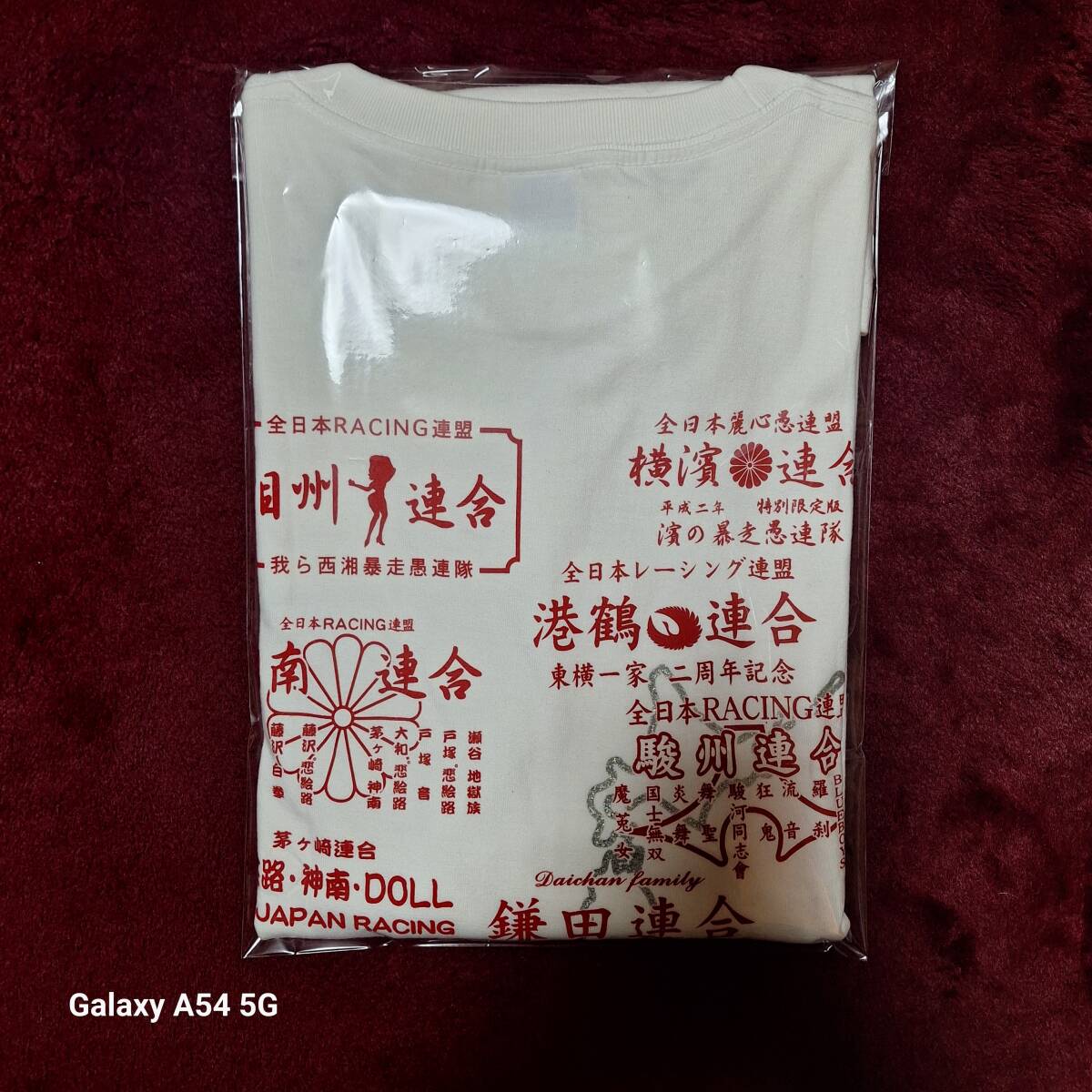 全日本レーシング連盟ロンＴ trim_fce_item68c0cec372ee4.jpg