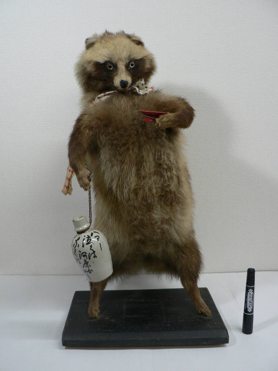 たぬき 剥製の値段と価格推移は？｜5件の売買データからたぬき 剥製の