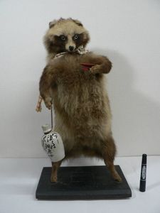 たぬき 剥製の値段と価格推移は？｜4件の売買データからたぬき 剥製の